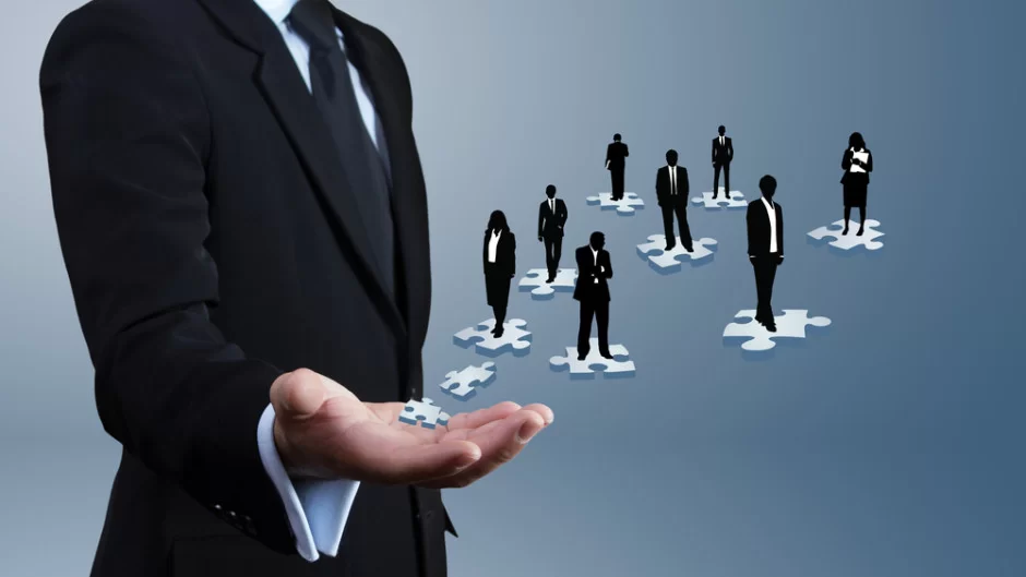 Executive Search